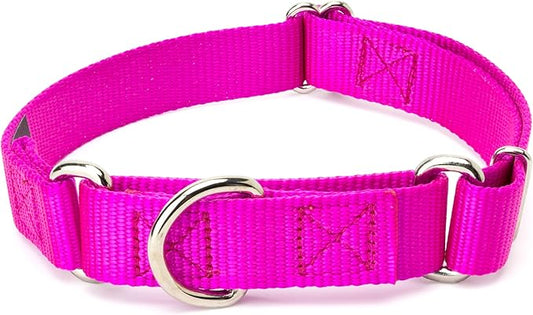 Country Brook Petz Martingale Dog Collar - Heavy-Duty Training Collar with No Buckle - Service Dog Collar for All Pups - Vibrant, Colorful Collection (Fuchsia, 3/4 Inch, Small)
