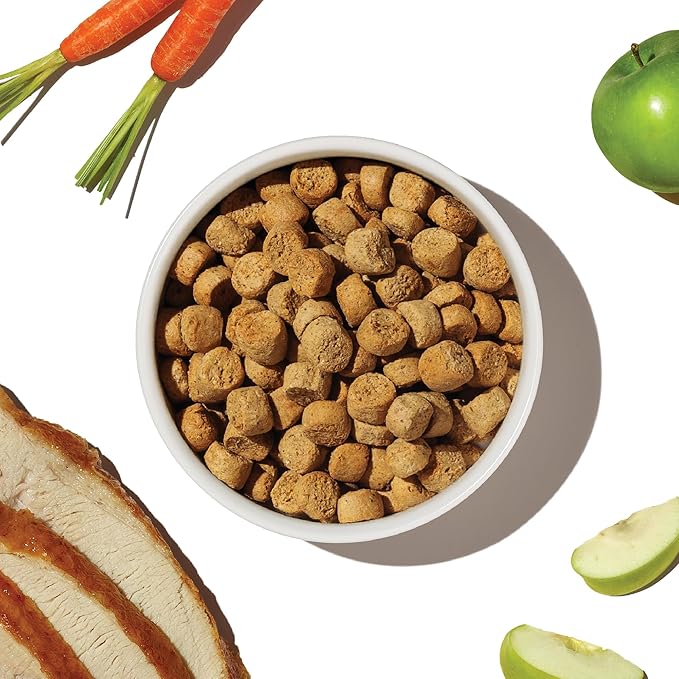 The Honest Kitchen Whole Food Clusters Grain Free Turkey Dry Dog Food, 1 lb Trial Pouch