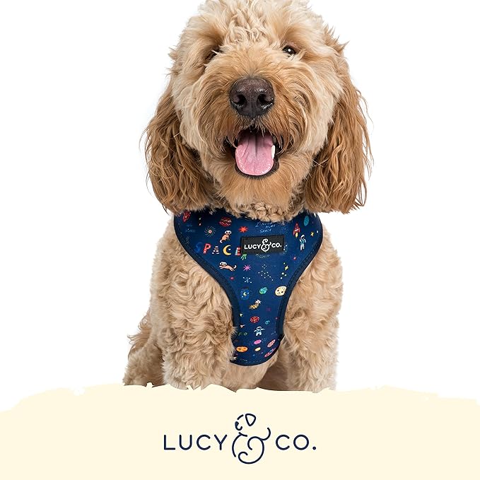 Lucy & Co. Space Doodle, Cute Reversible Dog Harness Walking Halter - Best Designer Pet Harnesses for Medium Dogs - Padded Adjustable Vest for Easy Walking (Small)
