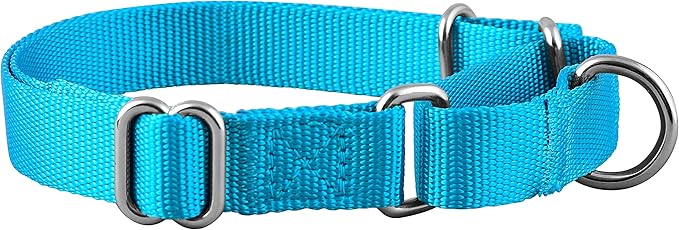 Native Pup Martingale Dog Collar, Adjustable for Small, Medium, Large pet and Puppies Accessories, Cute Colors for Male, Female, Boy, Girl, Puppy (Small, Blue Turquoise)
