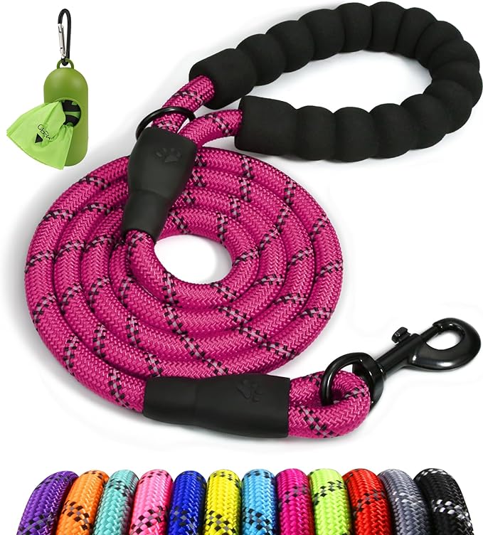 Taglory Rope Dog Leash 6 FT with Comfortable Padded Handle, Highly Reflective Threads Leash for Small Dogs, 3/8 inch, Hotpink