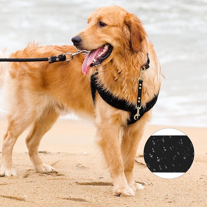 PetBonus Dog Collar Safety Clip, Waterproof Backup Safety Strap for Dog Harness to Prong Collar, Odor Proof Double Ended Clasp Leash Connector for Training Walking (Black)