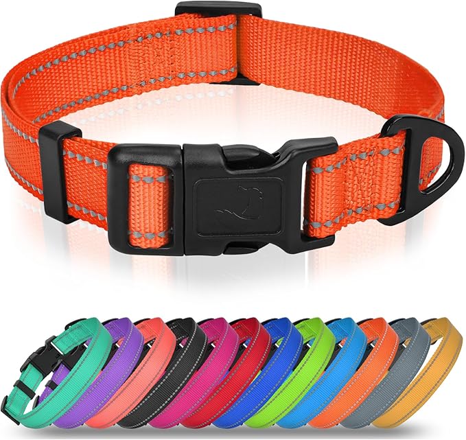 Joytale Small Dog Collar, Reflective and Adjustable Nylon Collar with Quick-Release Buckle, Lightweight No-Choke Design for Small Dogs, Orange, 5/8" Width