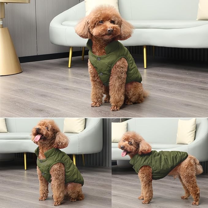 2 Layers Fleece Lined Warm Dog Jacket for Puppy Winter Cold Weather,Soft Windproof Small Dog Coat,Green XS