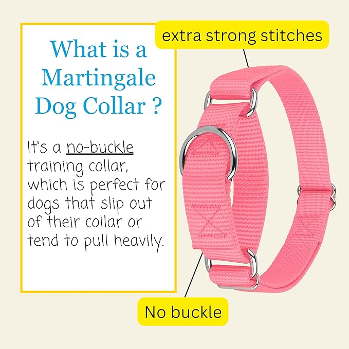 Country Brook Petz Martingale Dog Collar - Heavy-Duty Training Collar with No Buckle - Service Dog Collar for All Pups - Vibrant, Colorful Collection (Pink, 3/8 Inch, 3XS)