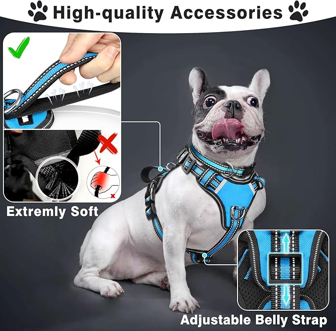 WINSEE Pet Harness Collar and Leash Set, All-in-one Reflective Dog Harness No Pull with Adjustable Buckles for Puppies, Small, Medium, Large, and Extra-Large Dogs (Medium, Blue)