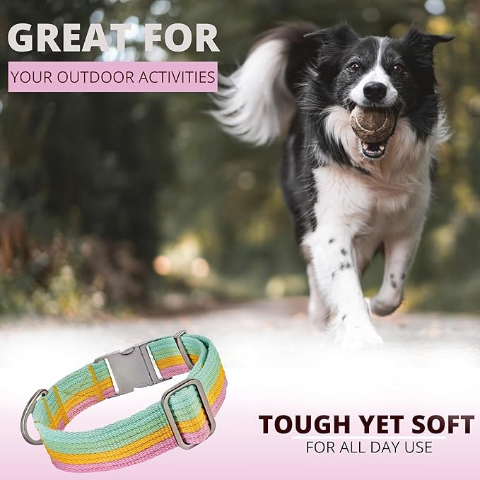 ADITYNA Cotton Dog Collar with AirTag Holder - Heavy-Duty Metal Buckle, Breathable, Easy Adjustable for Medium & Large Breeds - for Walking, Training (Pastel Paradise, Fits 15-21" Necks)