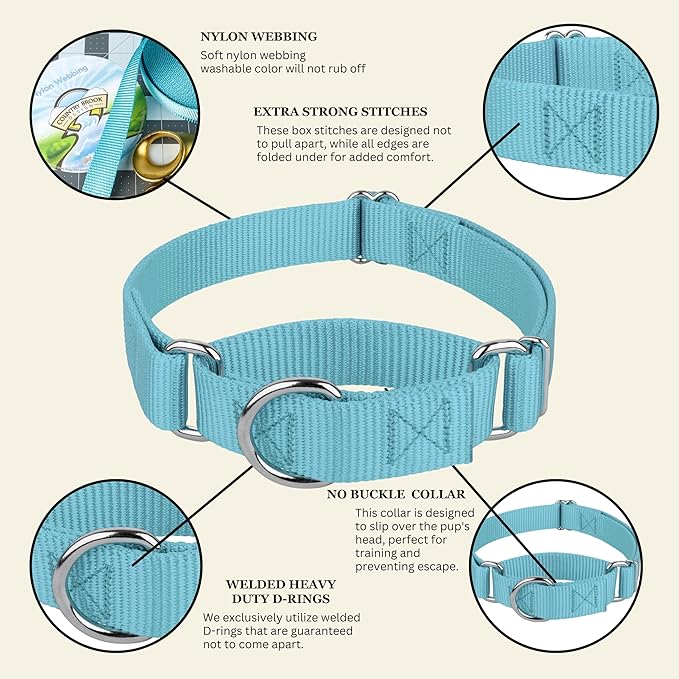 Country Brook Petz Martingale Dog Collar - Heavy-Duty Training Collar with No Buckle - Service Dog Collar for All Pups - Vibrant, Colorful Collection (Ocean Blue, 3/4 Inch, Small)