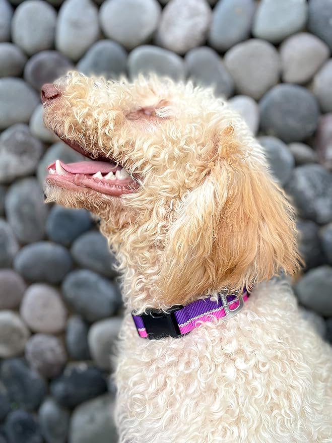 Tuff Pupper Heavy Duty Dog Collar | Reflective with Aluminum D-Ring Leash Clip | Separate Dog ID Tag Attachment | Easy Sizing for All Breeds