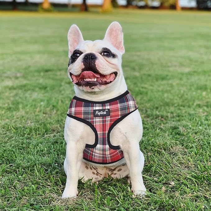PUPTECK Soft Mesh Dog Harness and Leash Set Pet Puppy Cat Comfort Padded Vest No Pull Harnesses, Red Mixed, XS