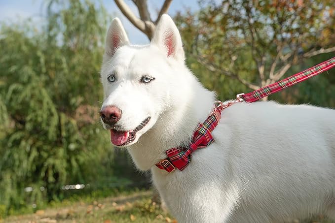 Tunkoo Dog Collar Christmas Plaid with Elegant Bow Tie Soft Comfy Cotton Adjustable Collar, Premium Metal Buckle for Puppy and Cat Small Medium Large(Red Plaid,M)