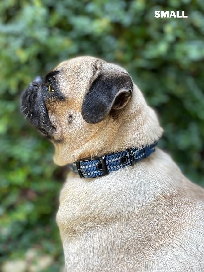 Tuff Pupper Heavy Duty Dog Collar with Handle | Ballistic Nylon Heavy Duty Collar | Padded Reflective Dog Collar with Adjustable Stainless Steel Hardware | Convenient Sizing for All Breeds