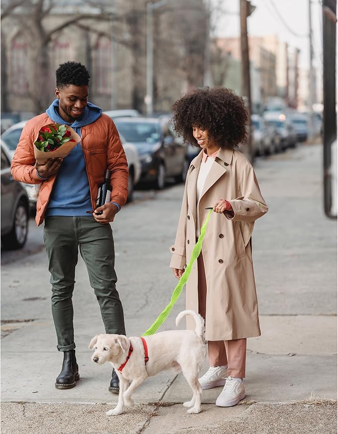 Mile High Life | Bungee Dog Leash | Gentle Pull Training Lead | Soft Comfort Texture | 3-5 Feet | for Dogs/Cats Under 20 lb (Lime Green)