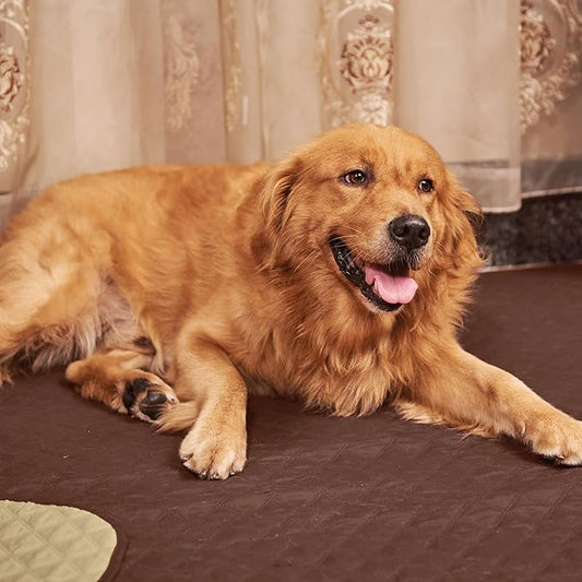 NICETOWN Dog Bed Cover for Pets Blankets Rug Pads for Couch Protection Waterproof Bed Covers Dog Blanket Furniture Protector Reusable Changing Pad, 62 x 82 inch, 1 Panel, Chocolate/Sand