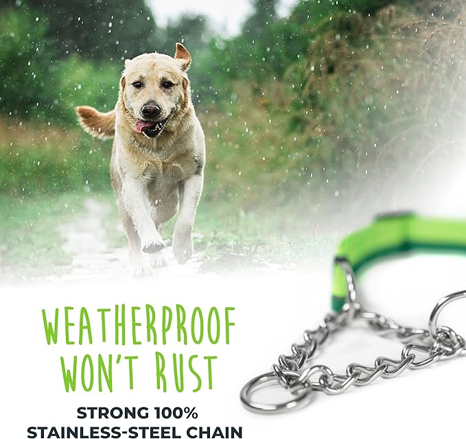 Mighty Paw Martingale Dog Collar 2.0 | Trainer Approved Limited Slip Collar with Stainless Steel Chain & Heavy Duty Buckle - Modified Cinch for Gentle & Effective Pet Training - Large, Green