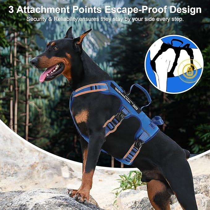 Escape Proof Dog Harness for Large Medium Sized Dogs Six Point Adjustable, Service Dog Vest Harness and Leash Set, No Pull Dogs Harnesses with Handle, XL Dog Harnesses for Walking(Blue, L)