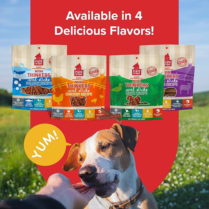 PLATO Mini Thinkers Sticks - Natural Dog Treats - Real Meat - Air Dried - Made in the USA, Chicken Flavor, 3 ounces