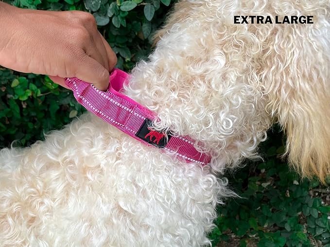 Heavy Duty Dog Collar with Handle | Ballistic Nylon Heavy Duty Collar | Padded Reflective Dog Collar with Adjustable Stainless Steel Hardware | Convenient Sizing for All Breeds X-Large (19-23" Neck)