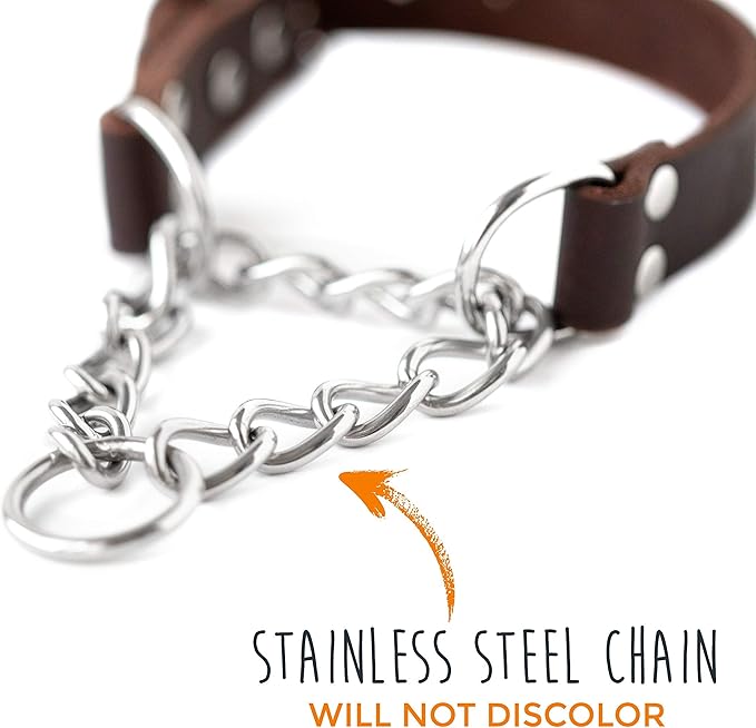 Mighty Paw Martingale Dog Collar - No Pull Design - Stainless Steel Chain - Limited Chain Cinch Training - Brown Leather Martingale Training Collar - Medium Size