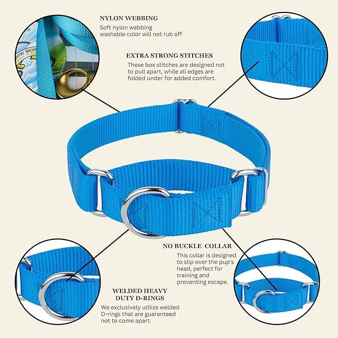 Country Brook Petz Martingale Dog Collar - Heavy-Duty Training Collar with No Buckle - Service Dog Collar for All Pups - Vibrant, Colorful Collection (Ice Blue, 1 Inch, Medium)
