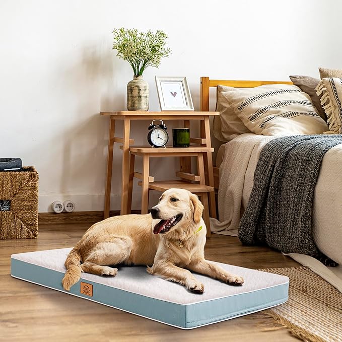 Orthopedic Dog Bed for Large Dogs and Extra Large Dogs, XL Dog Bed with Removable Waterproof Cover and Machine Washable Dog Bed, Pet Bed Mat Egg-Crate Foam, L-Plus(36"X27"X3"), Blue