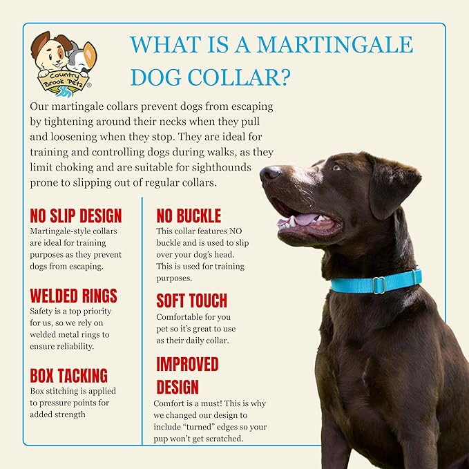 Country Brook Petz Martingale Dog Collar - Heavy-Duty Training Collar with No Buckle - Service Dog Collar for All Pups - Vibrant, Colorful Collection (Ice Blue, 3/8 Inch, 3XS)