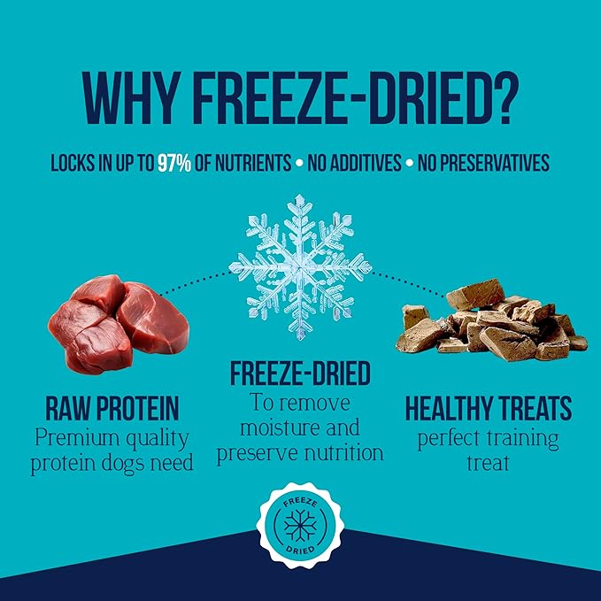 Stewart Single Ingredient Freeze Dried Raw Dog Treats, Beef Liver, 21 Ounce Value Size Resealable Tub, Training Treats or Meal Topper for All Size Dogs, High Protein, Grain-Free, Gluten-Free