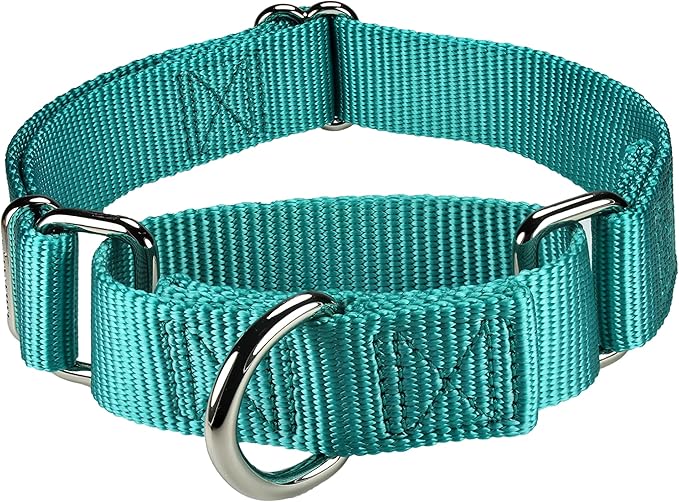 Mikivery Martingale Dog Collar Nylon Adjustable and Safety Training Colourful Comfortable Metal Buckle Pet Collars for Small Medium and Large Dogs(Teal,L)