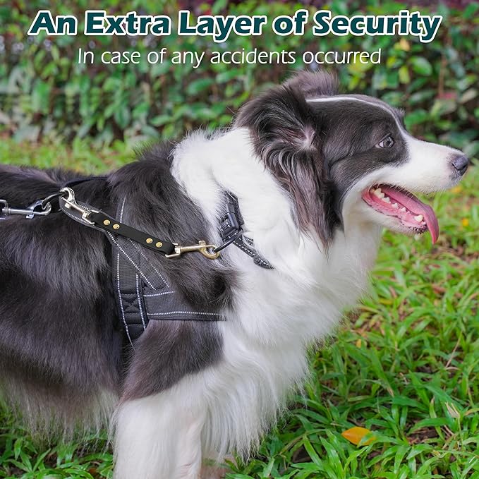 PetBonus Dog Collar Safety Clip, Waterproof Backup Safety Strap for Dog Harness to Prong Collar, Odor Proof Double Ended Clasp Leash Connector for Training Walking (Black)