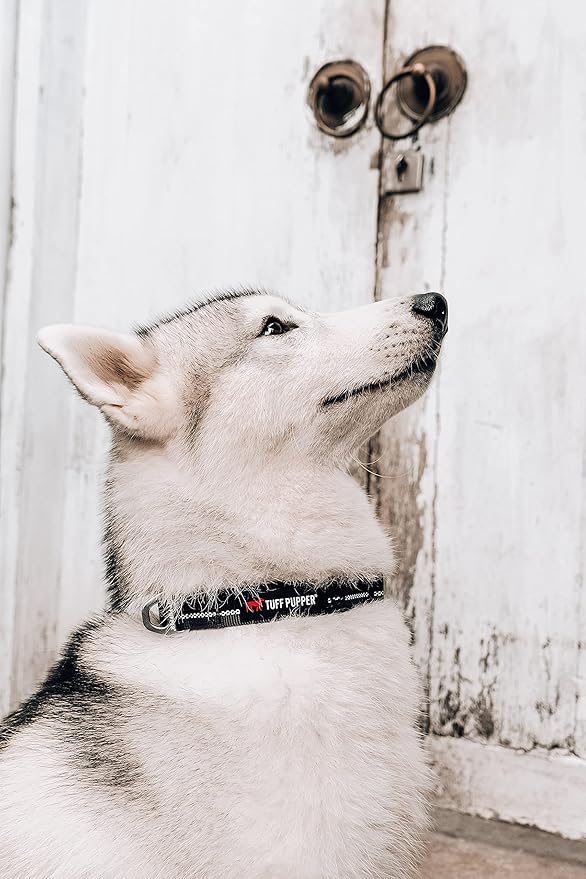 Tuff Pupper Heavy Duty Dog Collar | Reflective with Aluminum D-Ring Leash Clip | Separate Dog ID Tag Attachment | Easy Sizing for All Breeds