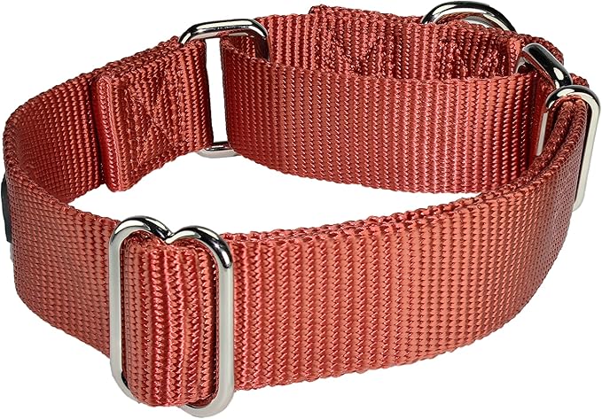 Mikivery Martingale Dog Collar Nylon Adjustable and Safety Training Brick Red Caramel Comfortable Metal Buckle Pet Collars for Small Medium and Large Dogs