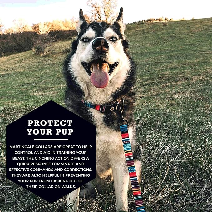 Wolfgang Heavy Duty Martingale Dog Collar with Quick Release Nylon Buckle for Walking & Training, Quetzal Print, Small