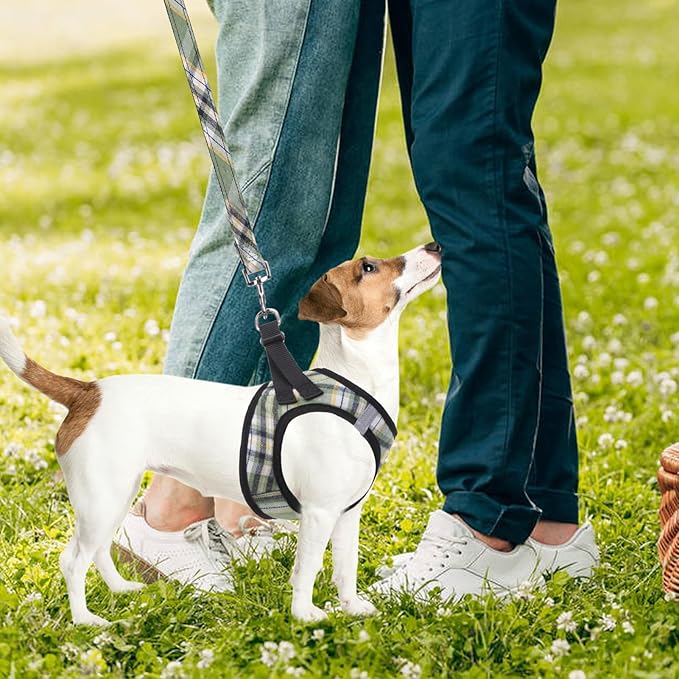 PUPTECK Adjustable Dog Harness Collar and Leash Set Step in No Pull Pet Harness for Small Medium Dogs Puppy and Cats Outdoor Walking Running, Soft Mesh Padded Reflective Vest Harnesses, Grn&YLW, XL