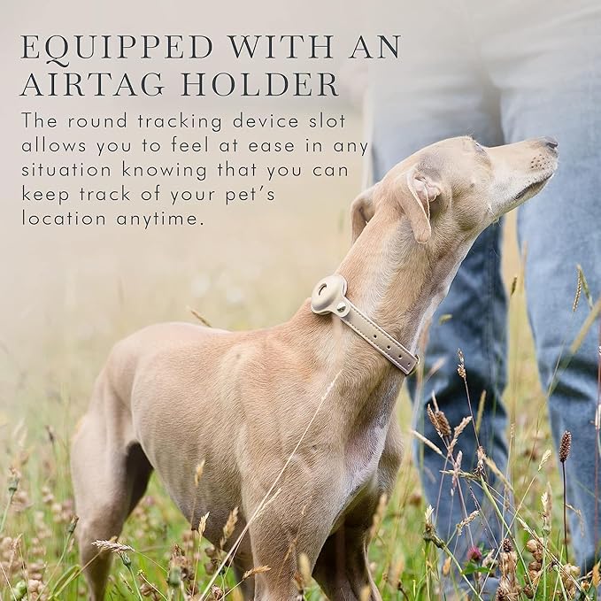 Cupertino Dog Collars, Harnesses & Leashes Made from Vegan Leather with Dog Tracker Device Holder Adjustable Dog Collar - Color Beige, Large