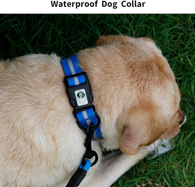 NIMBLE Dog Collar Waterproof Pet Collars Anti-Odor Durable Adjustable PVC & Polyester Soft with Reflective Cloth Stripe Basic Dog Collars S/M/L Sizes (Medium (11.81”-18.5”inches), Blue)