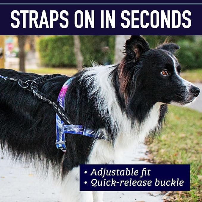 Leash Boss No Pull Dog Harness, Easy Walk for Small, Medium, and Large Pets, Reflective with Rear and Front Clip Attachment (Space Pattern, Small)
