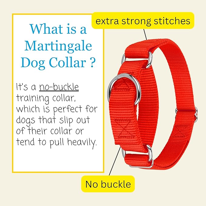 Country Brook Petz Martingale Dog Collar - Heavy-Duty Training Collar with No Buckle - Service Dog Collar for All Pups - Vibrant, Colorful Collection (Hot Orange, 1 Inch, Large)