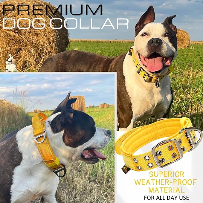 ADITYNA Heavy Duty Dog Collar for Extra-Large Dogs - Reflective Yellow Collar with Handle for Training, and Walking - Wide, Thick, Tactical, Soft Neoprene Padded