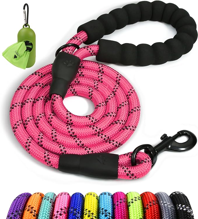Taglory Rope Dog Leash 5 FT with Comfortable Padded Handle, Highly Reflective Threads Leash for Small Dogs, 3/8 inch, Pink