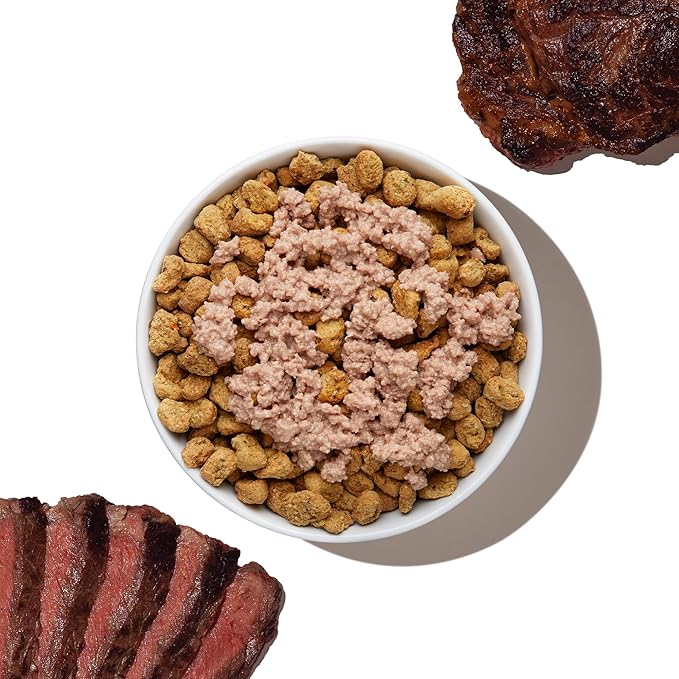 The Honest Kitchen Meal Booster: 99% Beef Dog Food Topper, 5.5 oz (Pack of 12)