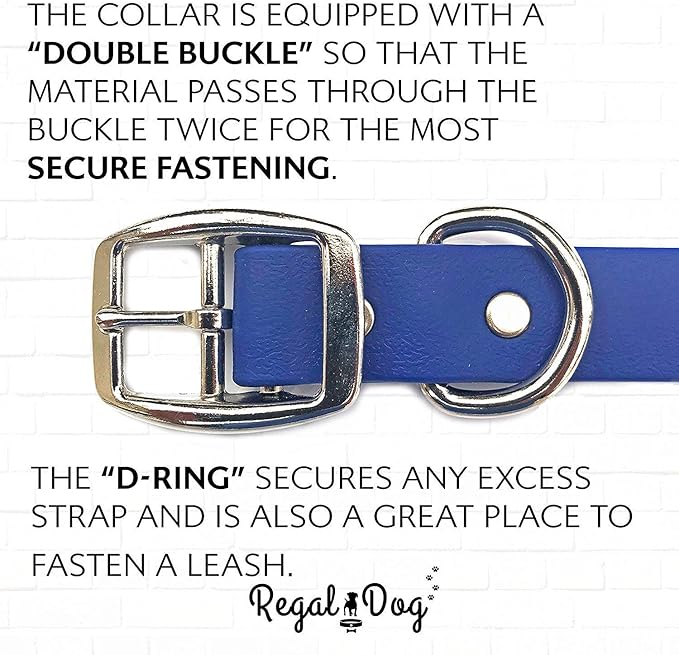 Regal Dog Products Small Blue Waterproof Dog Collar and Leash Set | Heavy Duty Double Buckle & D Ring - 5'ft Leash | Adjustable Biothane Dog Collar | Chew Resistant Waterproof Collar for Dogs