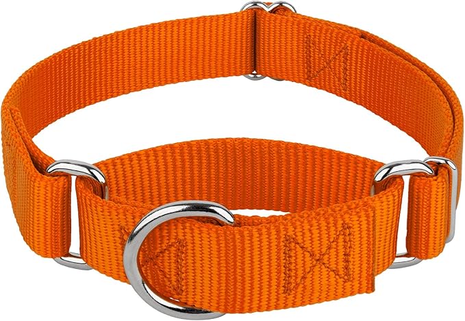 Country Brook Petz Martingale Dog Collar - Heavy-Duty Training Collar with No Buckle - Service Dog Collar for All Pups - Vibrant, Colorful Collection (Orange, 1 Inch, Medium)