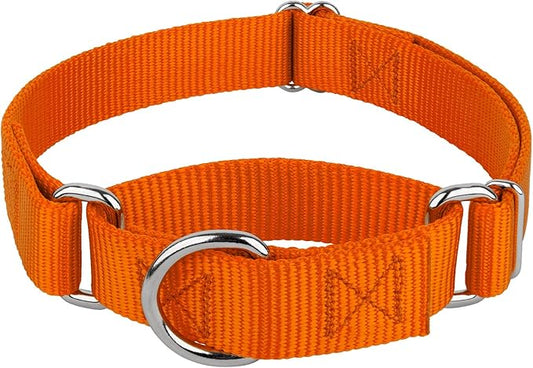 Country Brook Petz Martingale Dog Collar - Heavy-Duty Training Collar with No Buckle - Service Dog Collar for All Pups - Vibrant, Colorful Collection (Orange, 3/8 Inch, 2XS)