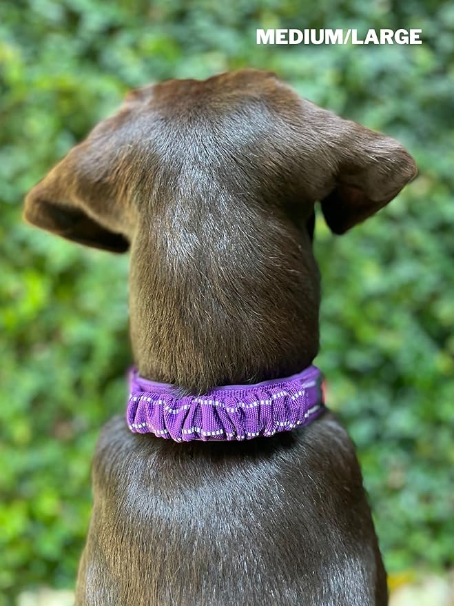 Heavy Duty Dog Collar with Handle | Ballistic Nylon Heavy Duty Collar | Padded Reflective Dog Collar with Adjustable Stainless Steel Hardware | Convenient Sizing for All Breeds
