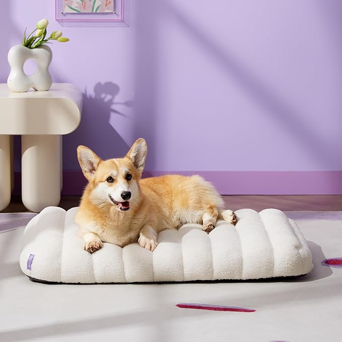 Lesure Cute Orthopedic Dog Bed for Crate, Large Waterproof Chic Flat Pet Beds with Removable Washable Cover, Fuzzy Thick Egg Crate Foam Pet Mat for Indoor Dogs (35" x 22", Cream)