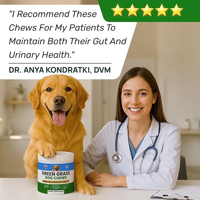 Green Grass Dog Chews w/Probiotics - Prevent Urine Burning Grass - Dog Pee Grass Spot Saver - Dog Urine Neutralizer for Lawn Treats, UT & Gut Health for Dogs, Lawn Burn from Dog Urine