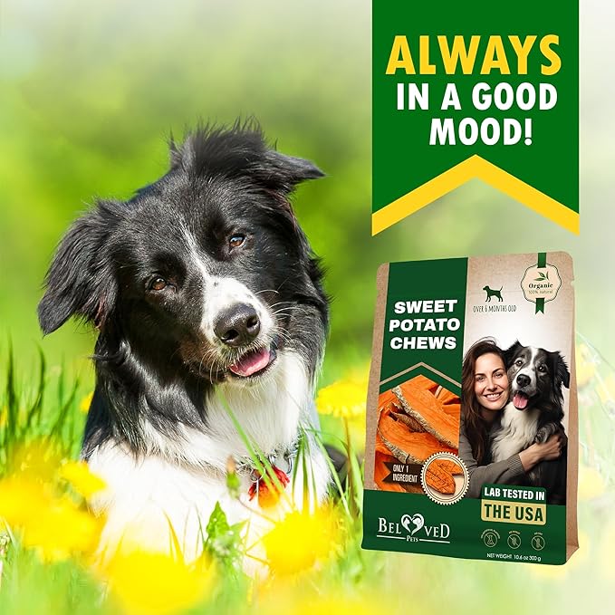 Dog Treats Sweet Potato Chips 11 oz - All Natural Pet Snack Chews - Grain Free & Human Grade Dried Snacks in Bulk - Best Jerky for Training Small & Large Dogs