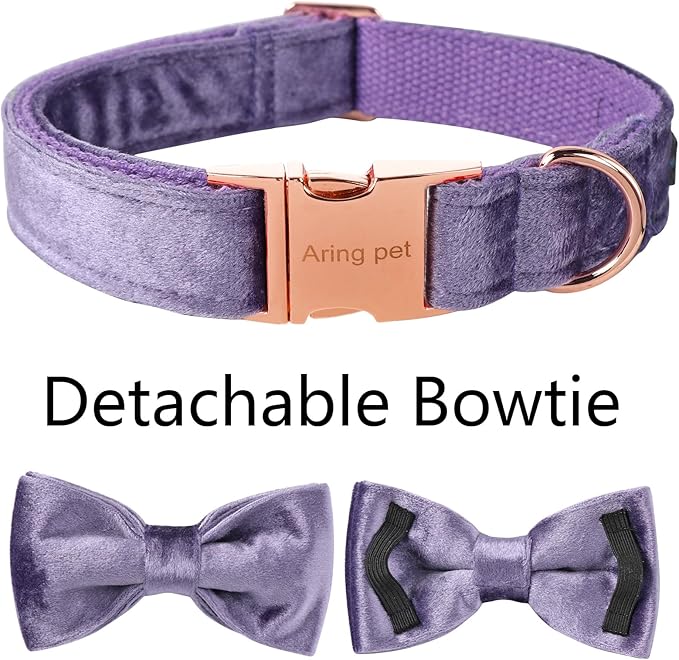 ARING PET Bowtie Dog Collar-Velvet Dog Collars with Removable Bowtie, Cute &Comfortable Purple Dog Collar,Small.
