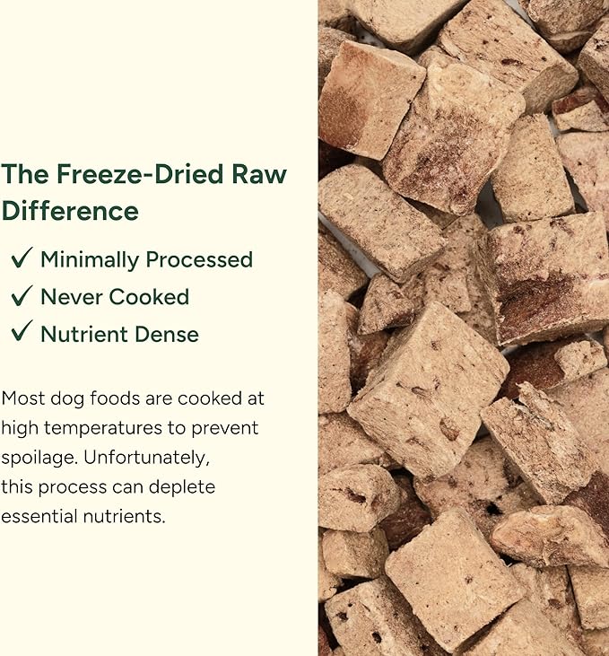 360 Pet Nutrition Freeze-Dried Raw Beef Liver Dog or Cat Treats, Single Ingredient, High Protein, Grain-Free, Made in USA, All-Natural, 4 oz (Beef Liver), Healthy, Training Snacks, Premium Quality