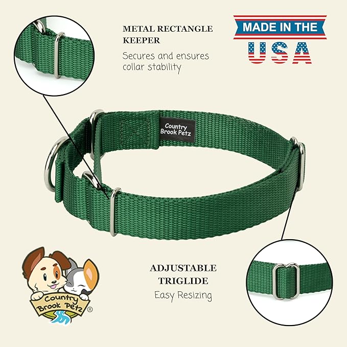 Country Brook Petz Martingale Dog Collar - Heavy-Duty Training Collar with No Buckle - Service Dog Collar for All Pups - Vibrant, Colorful Collection (Christmas Green, 5/8 Inch, Extra Small)